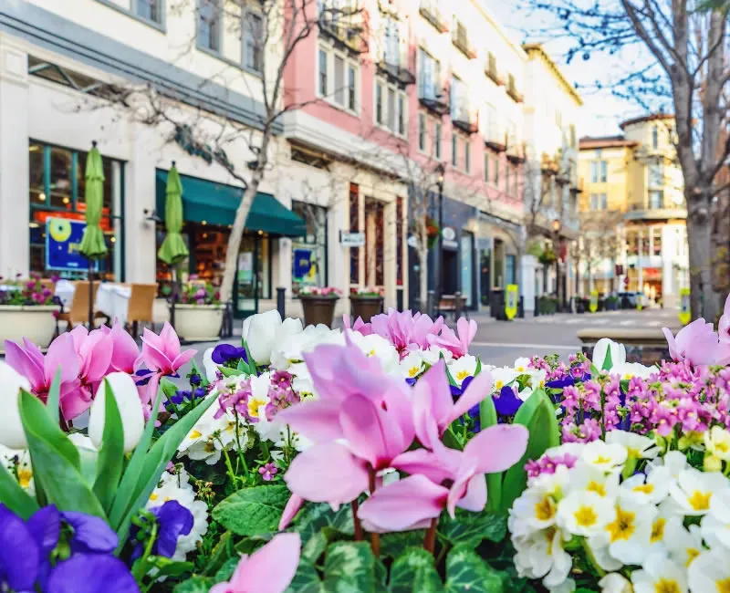 Business Mailing Lists